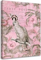 Schilderij Papegaai koningin, 2 maten, roze (wanddecoratie)