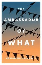 Ambassador of What