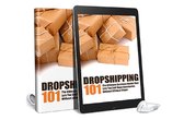 Dropshipping 101 Ebook