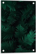 Tuinposter – Groene Bos Bladeren - 40x60cm Foto op Tuinposter  (wanddecoratie voor buiten en binnen)
