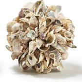Oesterschelpen bal