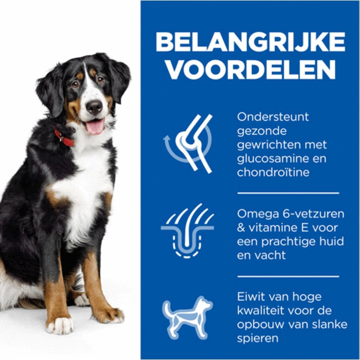 Hill's Canine Adult Large Breed - Hondenvoer - Kip 2.5 kg thumbnail 2