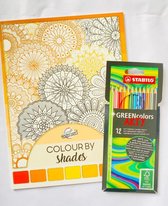 Kleurboek voor volwassen ''Bloemen 2'' + 12 Stabilo kleurpotloden - Schaduw Kleurboek voor volwassenen - Kleurpotloden voor volwassenen - Potloden volwassenen - Kleuren - Stiften -