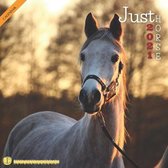 Just Horse