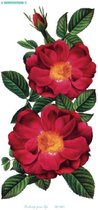 Temporary tattoo | tijdelijke tattoo | fake tattoo | Franse roos - French rose | 100 x 210 mm
