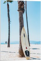 Acrylglas - Surfplank Tegen Palmboom op het Strand - 60x90cm Foto op Acrylglas (Met Ophangsysteem)