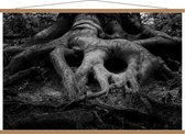 Schoolplaat – Boomwortels uit de Grond (Zwart - Wit) - 120x80cm Foto op Textielposter (Wanddecoratie op Schoolplaat)