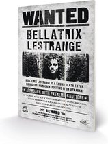 HARRY POTTER - Houten wandbord 20x29.5 - Bellatrix Wanted