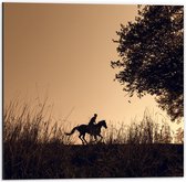 Dibond - Paard en Ruiter silhouet - 50x50cm Foto op Aluminium (Met Ophangsysteem)