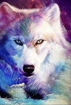Denza - Diamond painting wolf adelaar met vrouw 40 x 50 cm volledige bedrukking ronde steentjes direct leverbaar - wolf - wolven - fantasy - roof vogel
