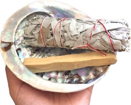 Smudge set - kit - abalone schelp - salie - witte salie smudge stick