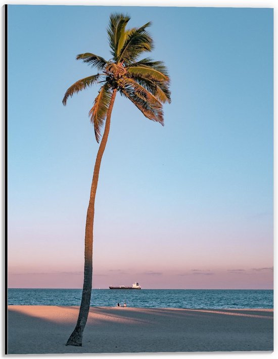 Dibond - Palmboom op Strand met Zee - 30x40cm Foto op Aluminium (Wanddecoratie van metaal)