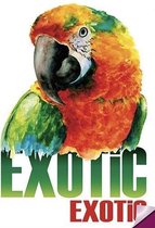 Exotic Papegaai Strijk Applicatie 17.1 cm / 25.1 cm / Groen Oranje