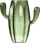 Cactus vaasje groot - Pusher