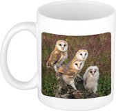 Mug Photo Animaux Effraie Des Clochers 300 ml - Tasse Cadeau / Mug Amoureux des Chouettes