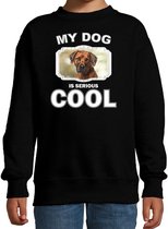 Rhodesian ridgeback honden trui / sweater my dog is serious cool zwart - kinderen - Pronkruggen liefhebber cadeau sweaters 9-11 jaar (134/146)