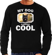 Cairn terrier honden trui / sweater my dog is serious cool zwart - heren - Cairn terriers liefhebber cadeau sweaters S