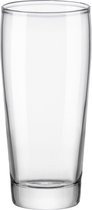 Willy Bierglas - Bierglazen - 20cl - 12 stuks