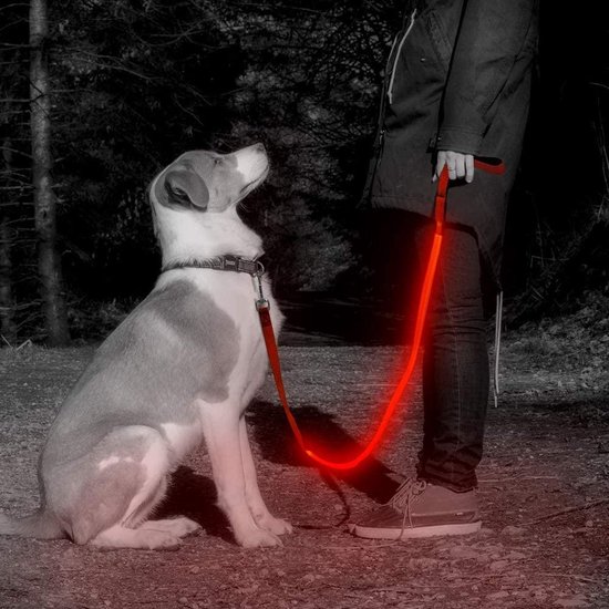 eend prachtig Geduld Hondenriem met LED| Rood | 120 cm | verlichte hondenriem | Hondenlijn met  LED | LED... | bol.com