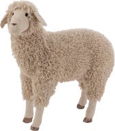 J-Line Schaap Deco Textiel Wol Beige Large