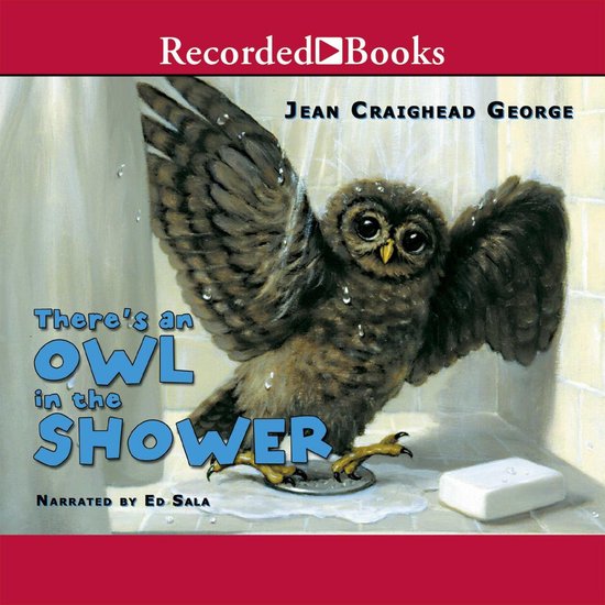 There's an Owl in the Shower - cover