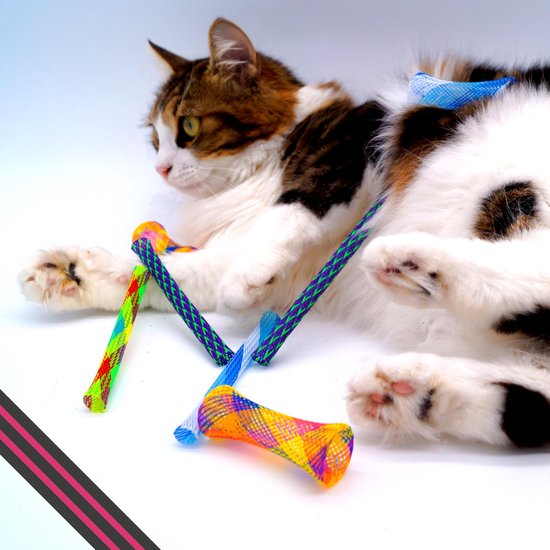 Springveer Katten Make Me Purr Kitty Boinks Springveren - Kattenspeeltjes ...