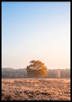 Poster Beautiful Day - 50x70 cm - Natuur Poster - WALLLL