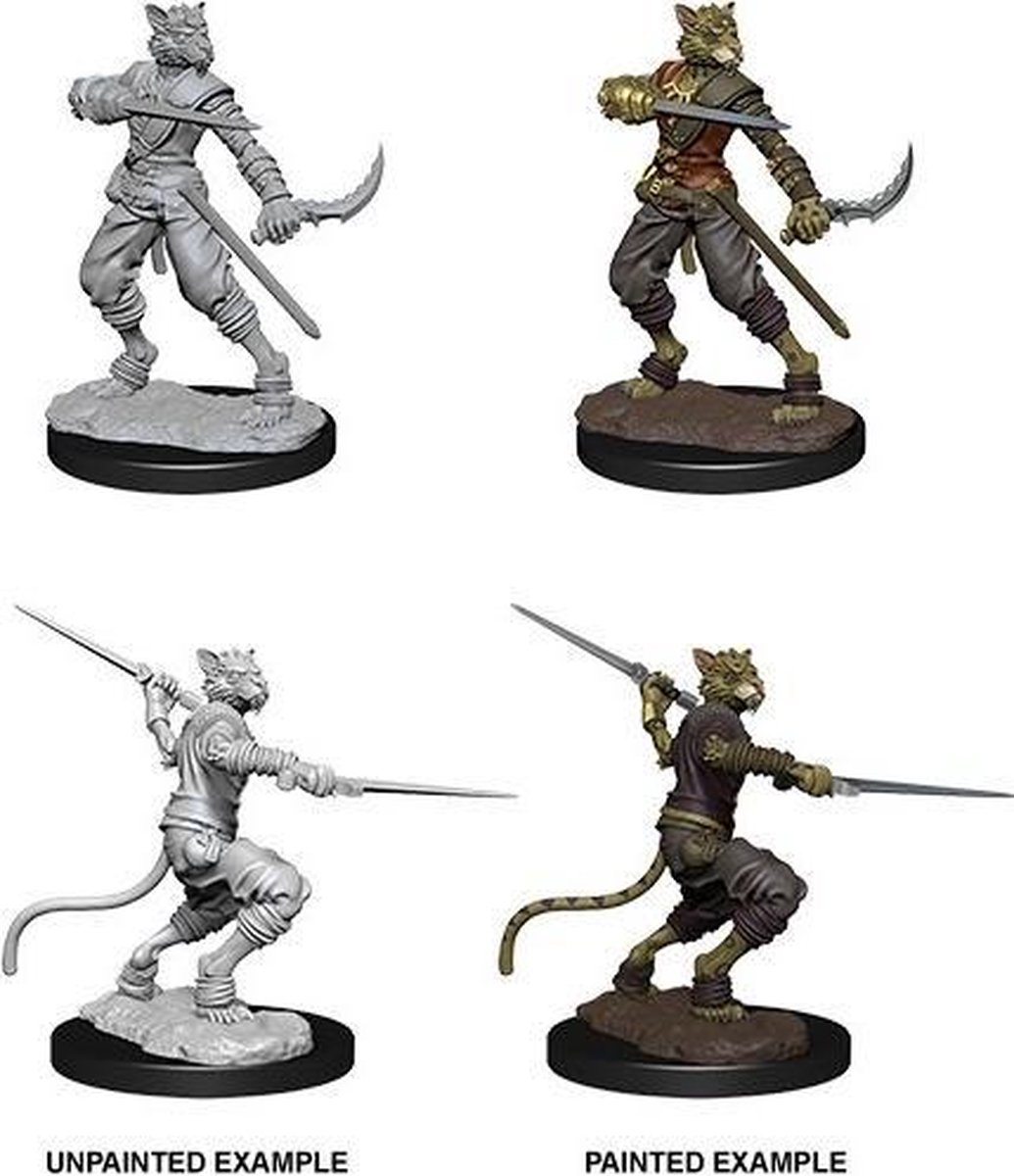 D&D Nolzur's Marvelous Miniatures: Tabaxi Rogue