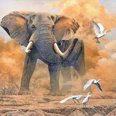 Lenks Diamond painting olifant met vogels 40 X 50cm ronde steentjes full paint Diamond Paint 1002BV