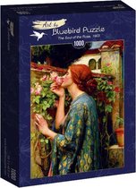J.W. Waterhouse - De ziel van de roos, 1903 (1000 stukjes, kunst puzzel)