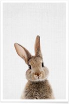 JUNIQE - Poster Baby konijn kleurenfoto -30x45 /Bruin & Wit