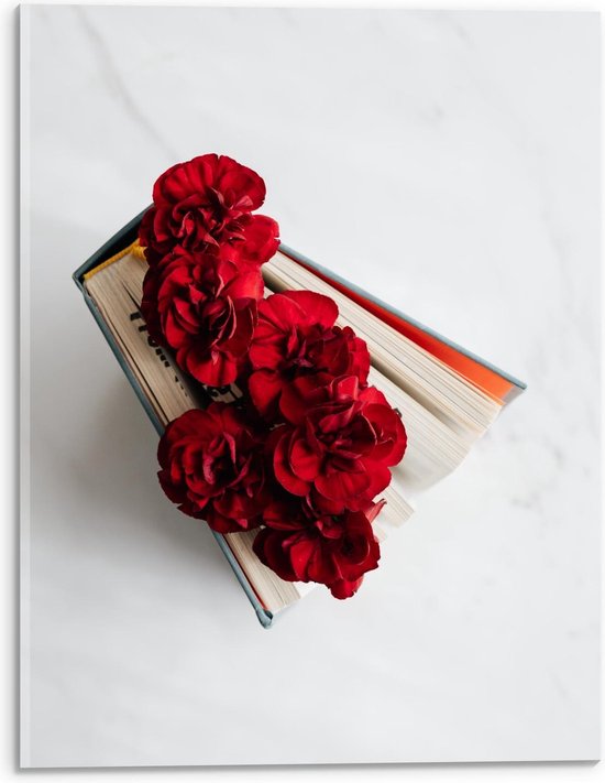 Acrylglas - Rode Bloemen op Boek - 30x40cm Foto op Acrylglas (Wanddecoratie op Acrylglas)