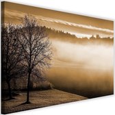 Schilderij Mistig meer, 2 maten, Bruin, Premium print