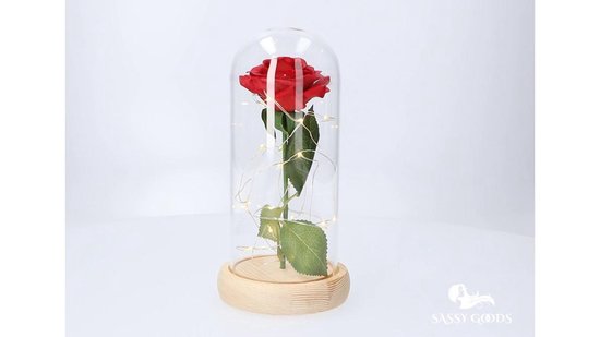 Belle En Het Beest Rose In Glazen Koepel Eeuwige Roos Bewaarde Bloem Huisdecoratie Voor Valentijnsdag Verjaardag (Color : Red