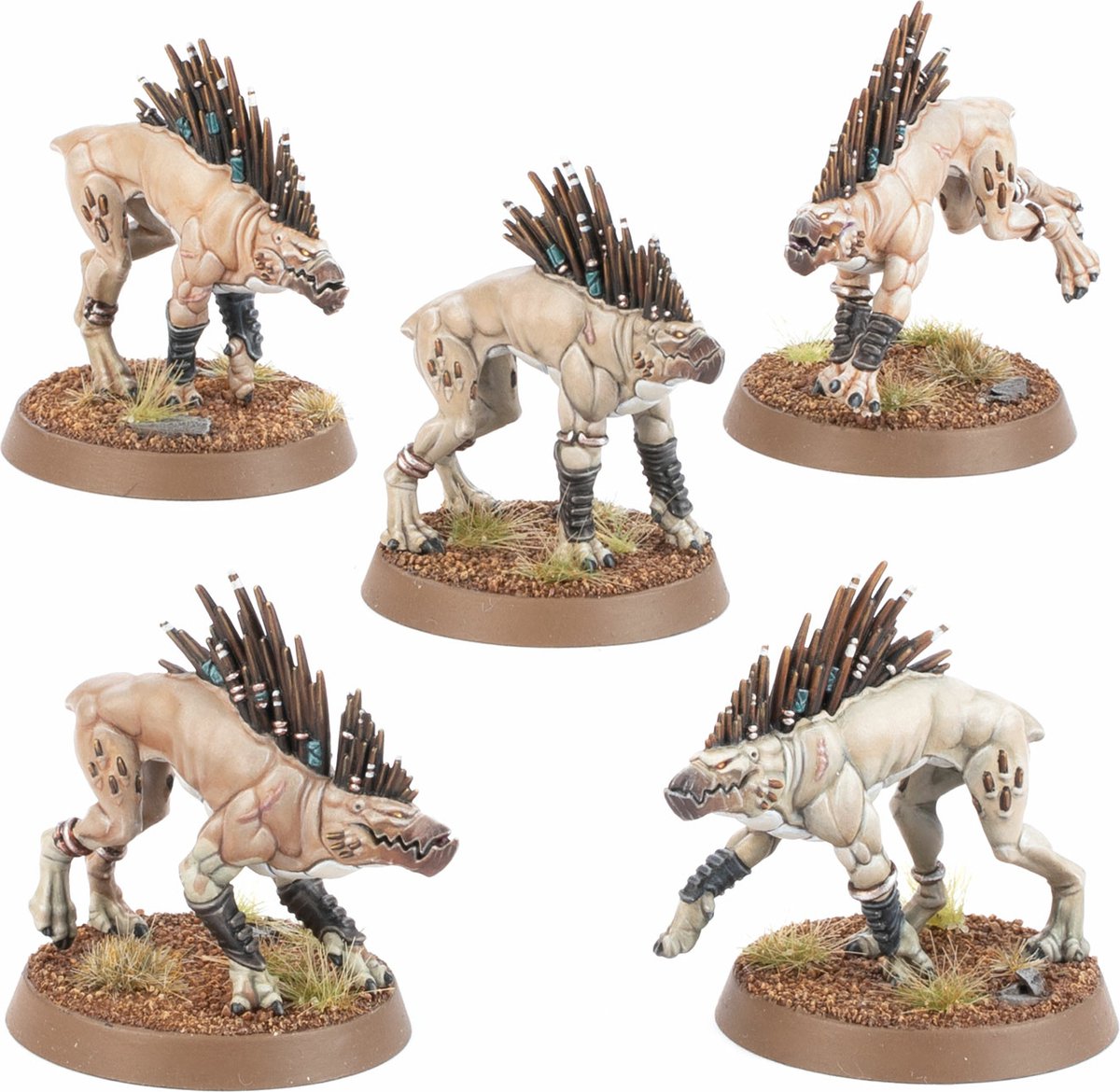 T'au Empire Kroot Hounds