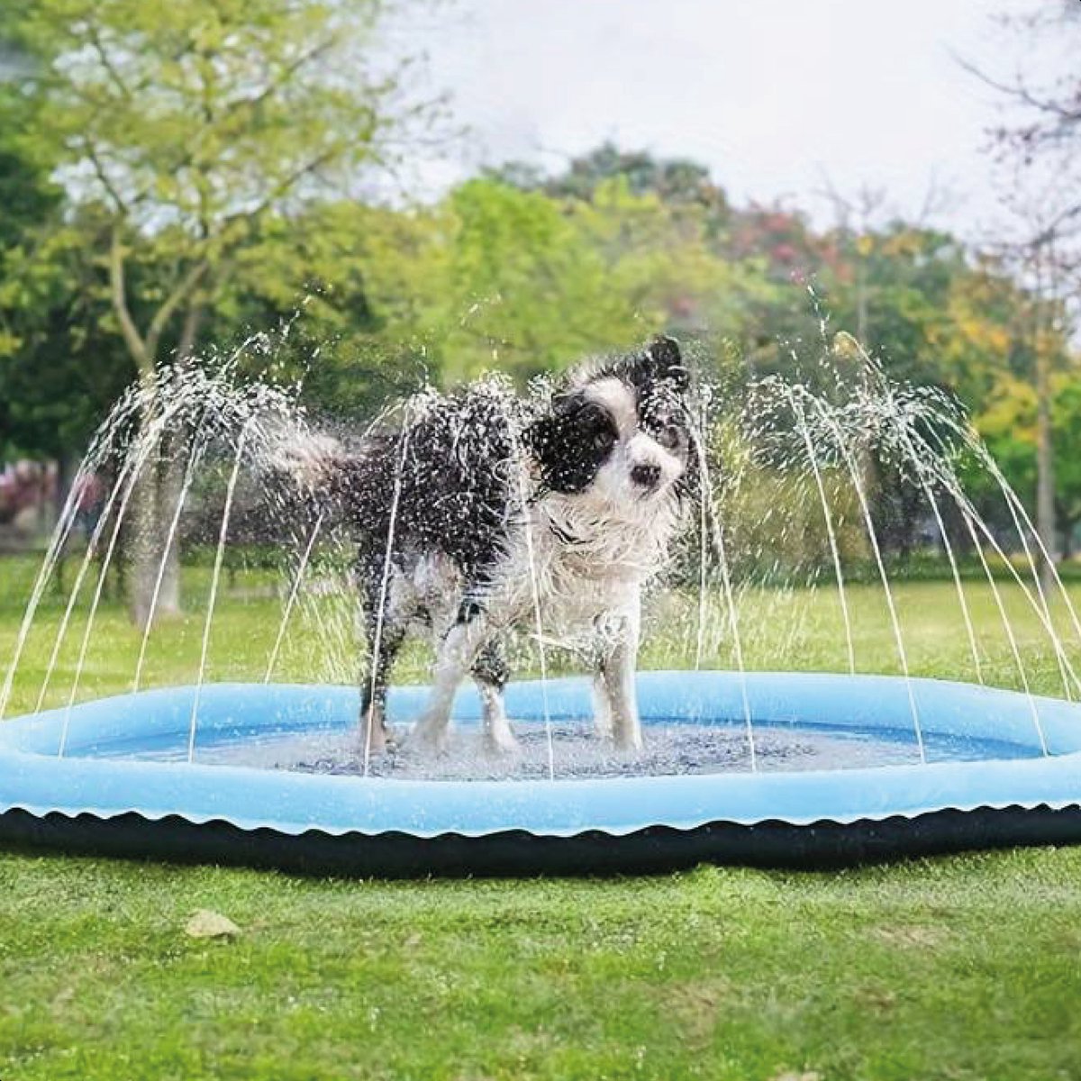 Dutchwide Ø 200cm Hondenzwembad - Met Sproeiers - Anti Slip Hondendouche - Bad voor Honden - Waterspeelgoed Hond - Fontein - Zwembad - Hondenbad — afbeelding 5