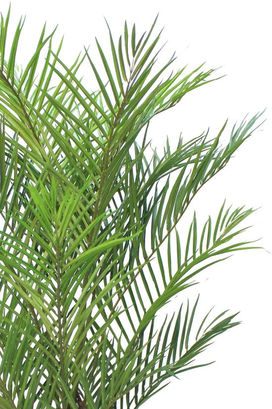 Palmier artificiel 180cm