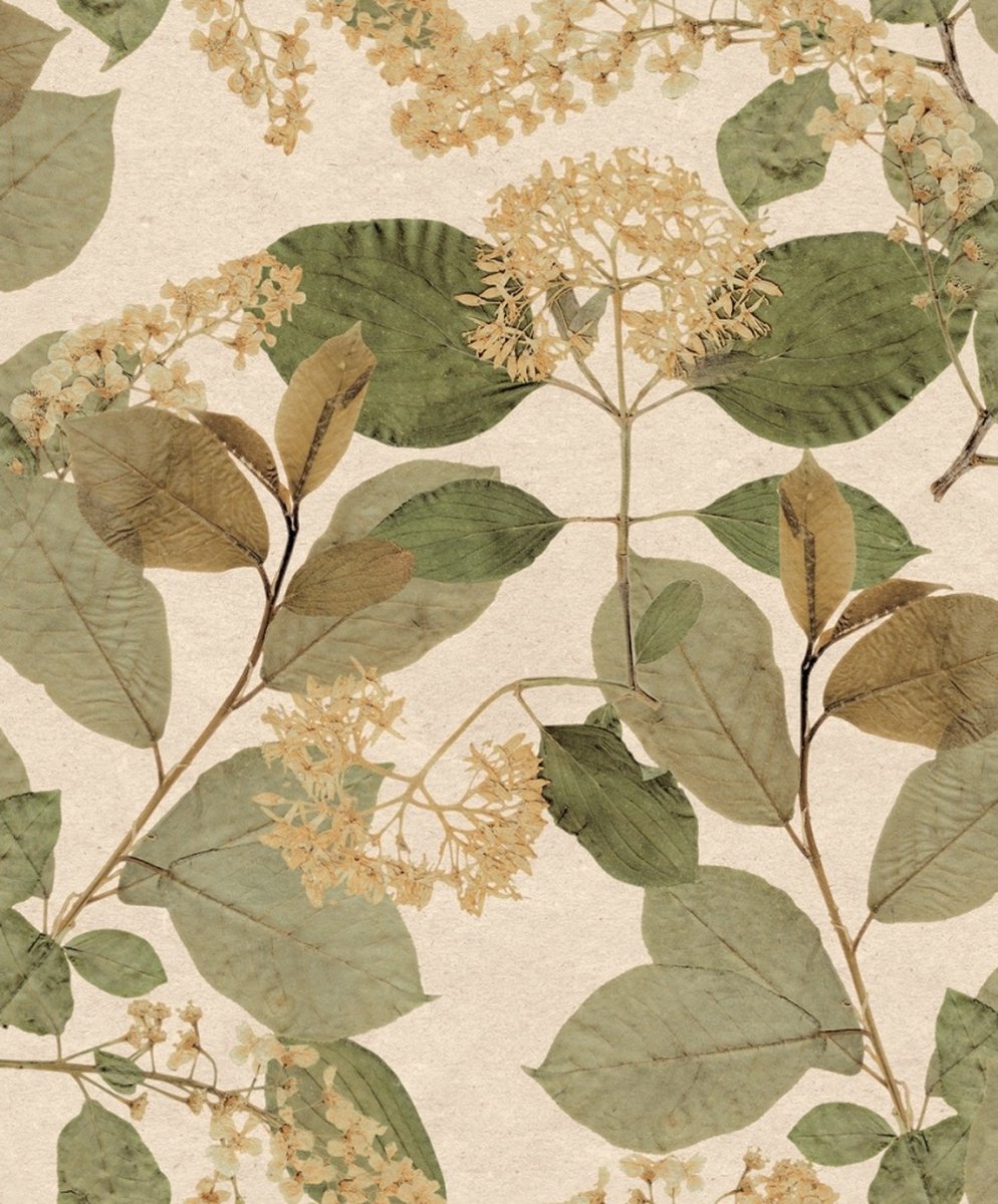 Herbarium - Vliesbehang - Leaves - Blaadjes - Groen - 0,53 x 10,05 M.