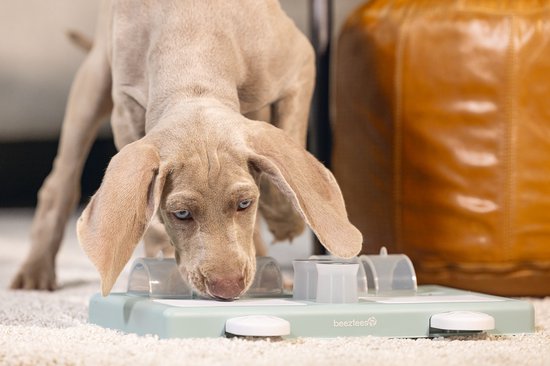 Beeztees Puppy Training Game Riff - Jouet pour chien - Vert - 35x21.5x7