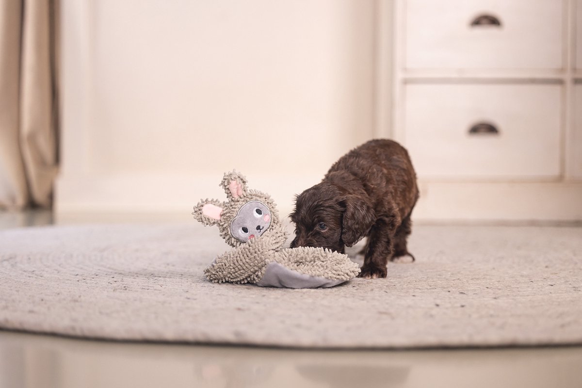 Beeztees Puppy Knuffellap Konijn An - Puppy Speelgoed - Puppyknuffel - Hondenspeelgoed - Ecologisch - Gerecycled Polyester - Grijs - 37x28x4 cm thumbnail 3