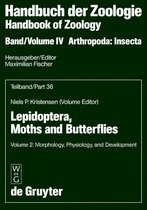 Lepidoptera, Moths and Butterflies