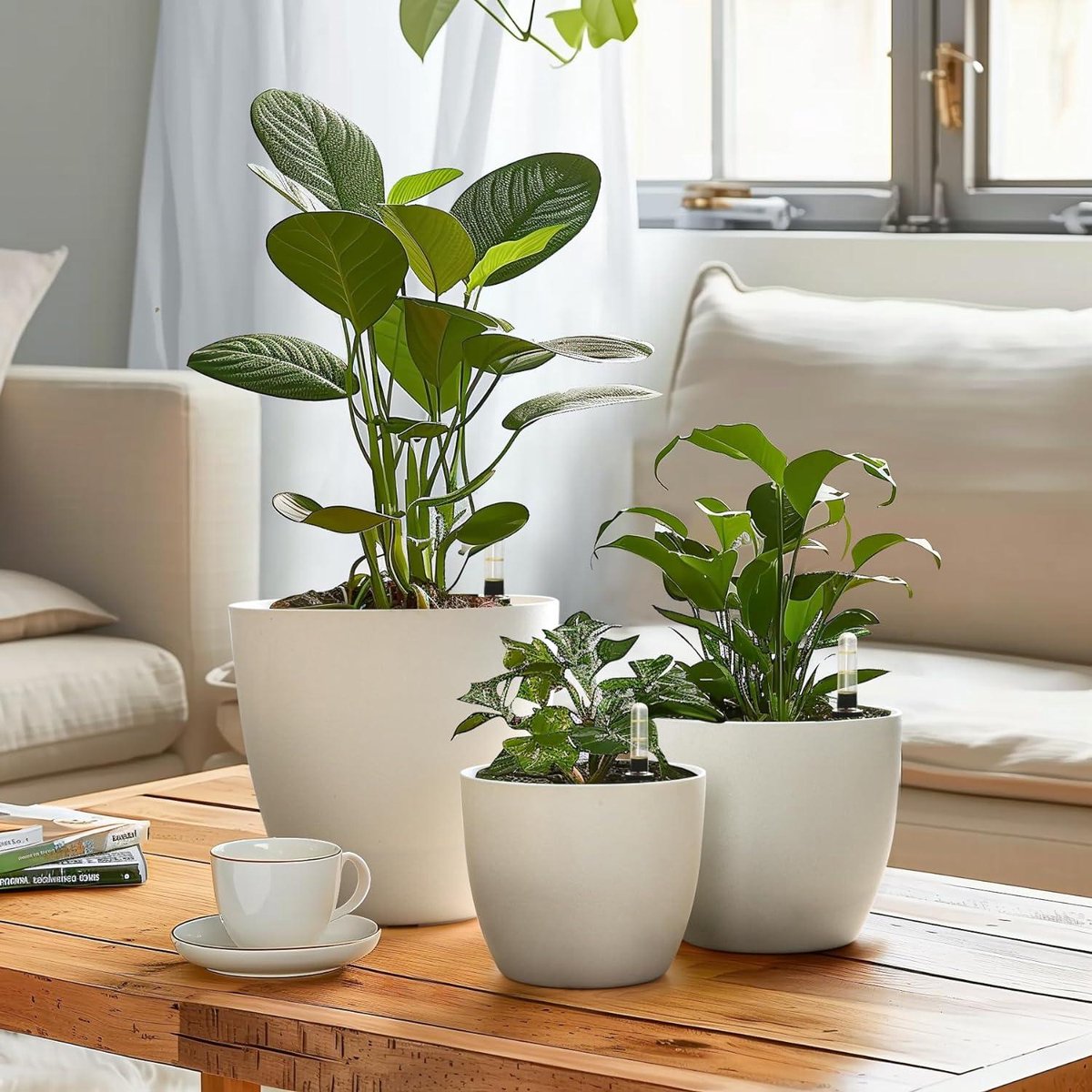 Pot De Fleurs Auto-irrigant - Système De Réserve D'eau Intérieure, Pour Plantes D'intérieur, Bonsaï - 5