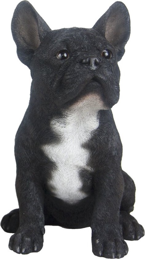 Statue de jardin de bouledogue français noir avec une tache blanche sur la poitrine, assis les oreilles dressées.