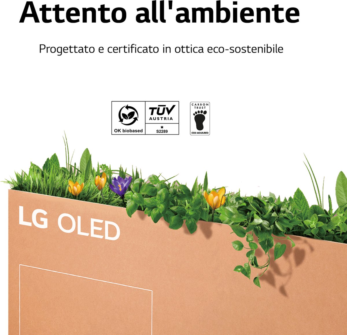 LG CS OLED55CS6LA - 55 inch - 4K OLED thumbnail 4