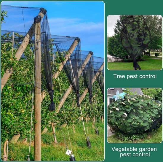 Tuinnet