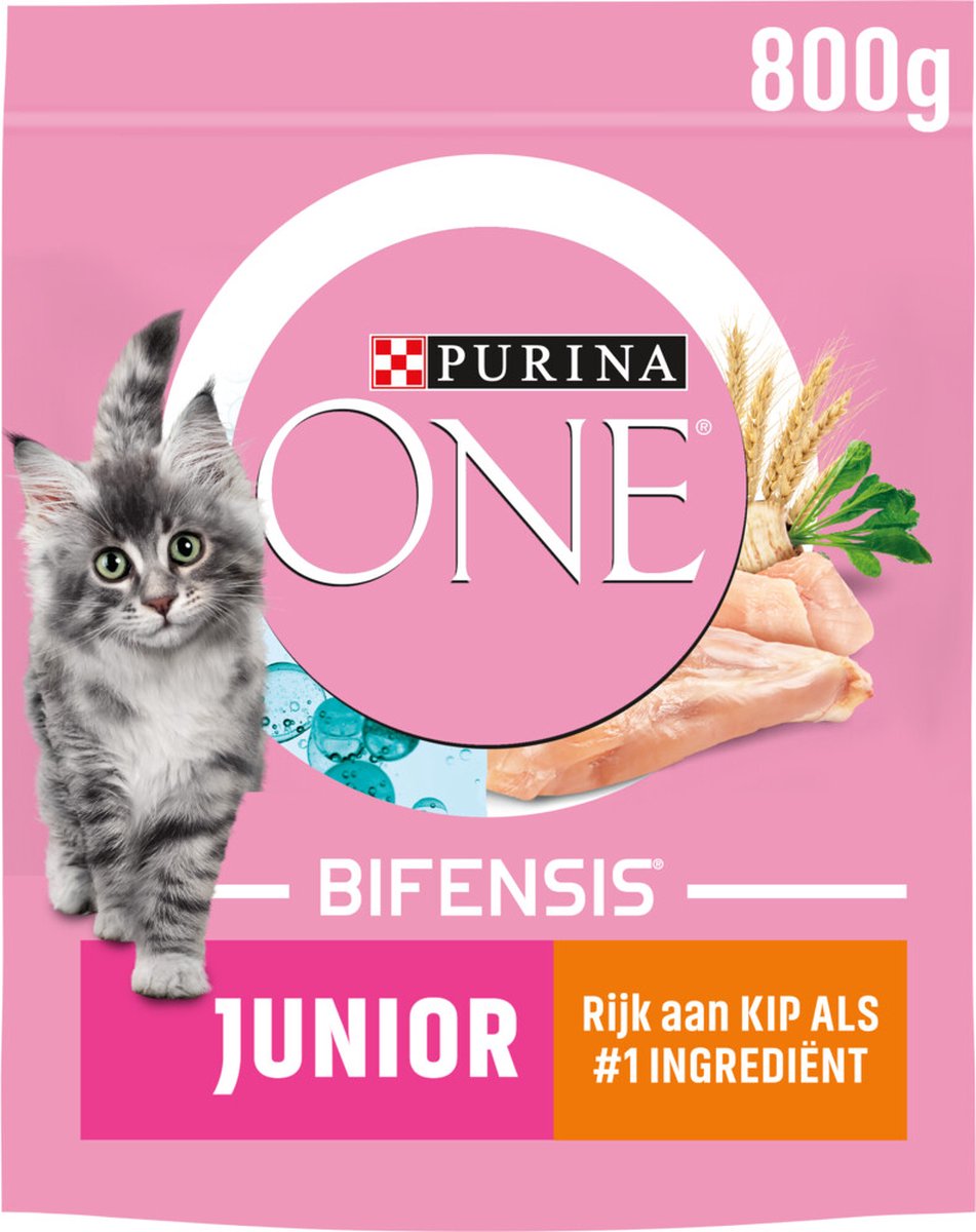 4x Purina ONE Junior Kip 800 gr