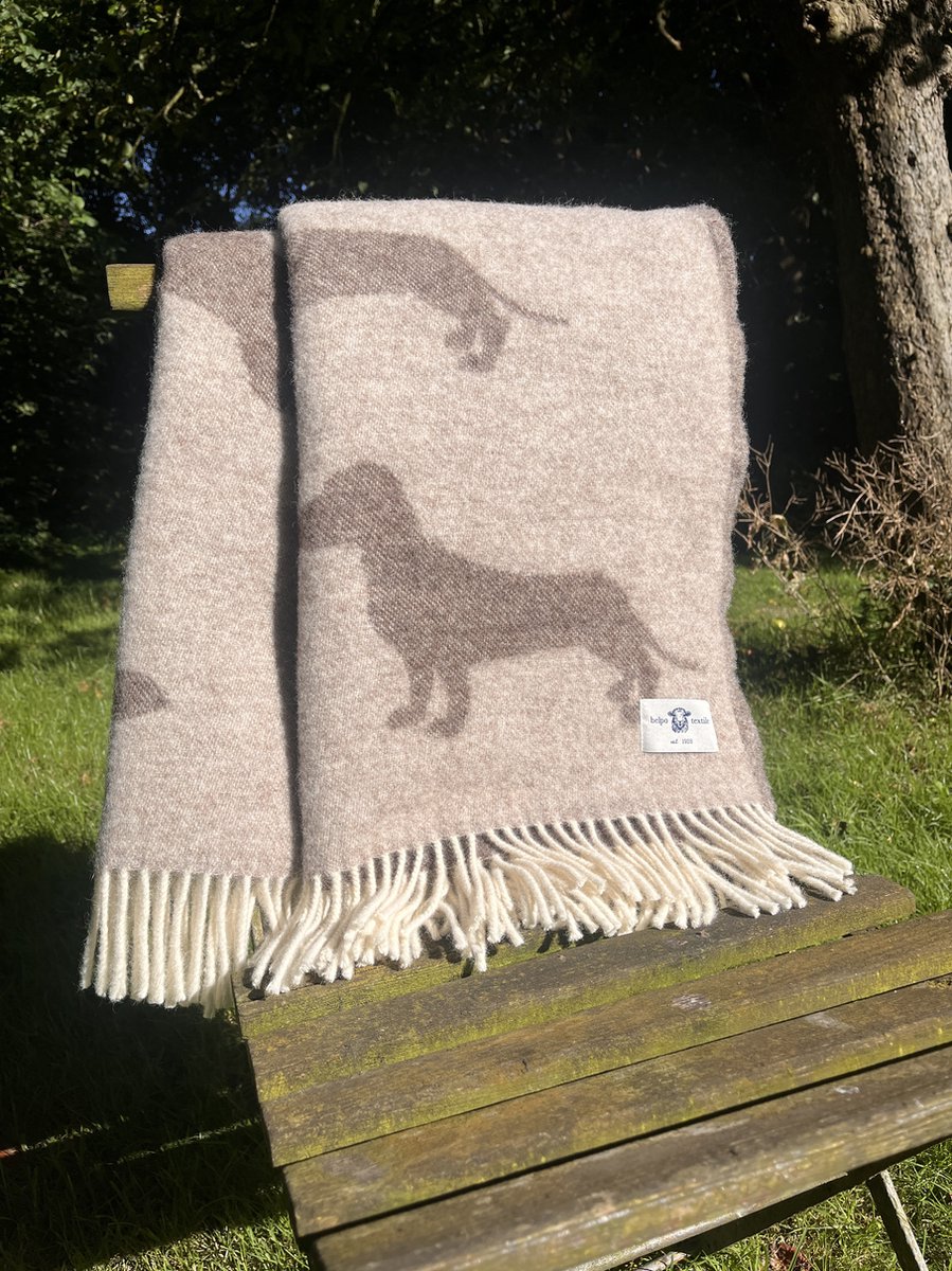 Wollen Plaid Teckel Brown