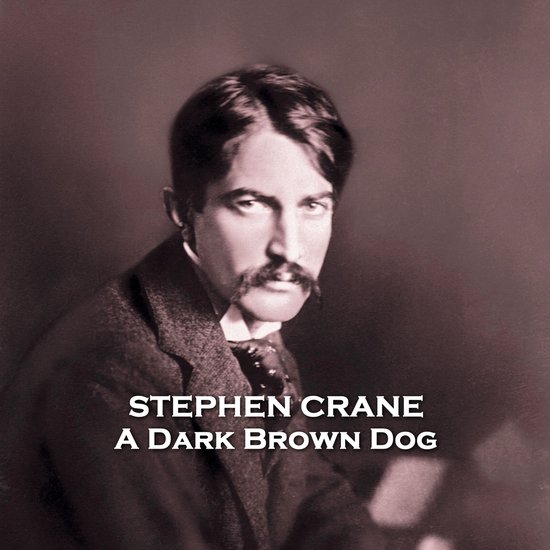 Dark Brown Dog, A - cover