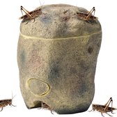 Navaris krekelbakje voor reptielen - motiveer het natuurlijke jachtinstinct van je reptiel - geschikt voor hagedissen, anoles, baardagamen en meer