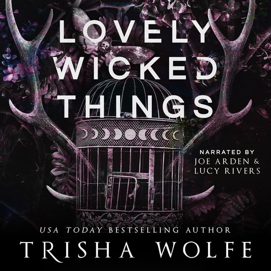 Lovely Wicked Things - cover